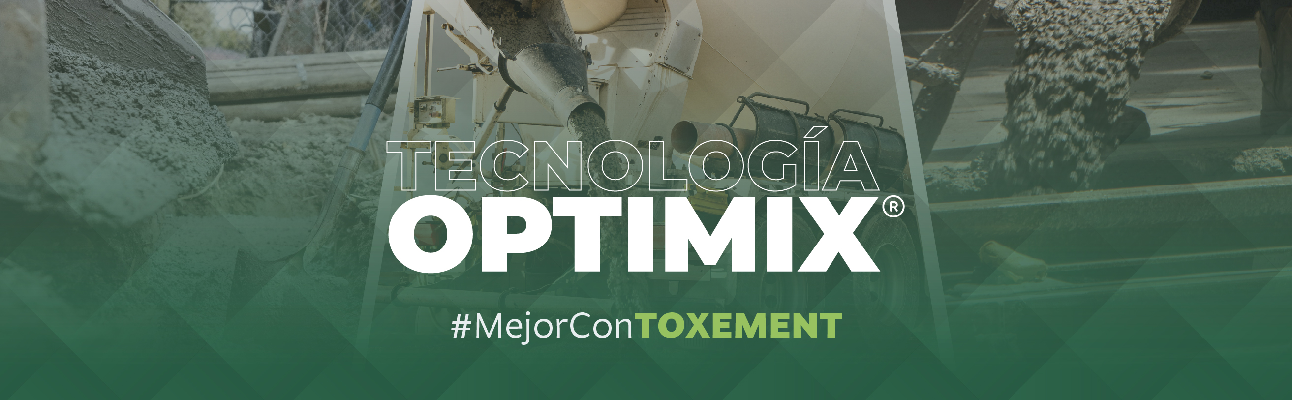 Web - Toxement copia.jpg